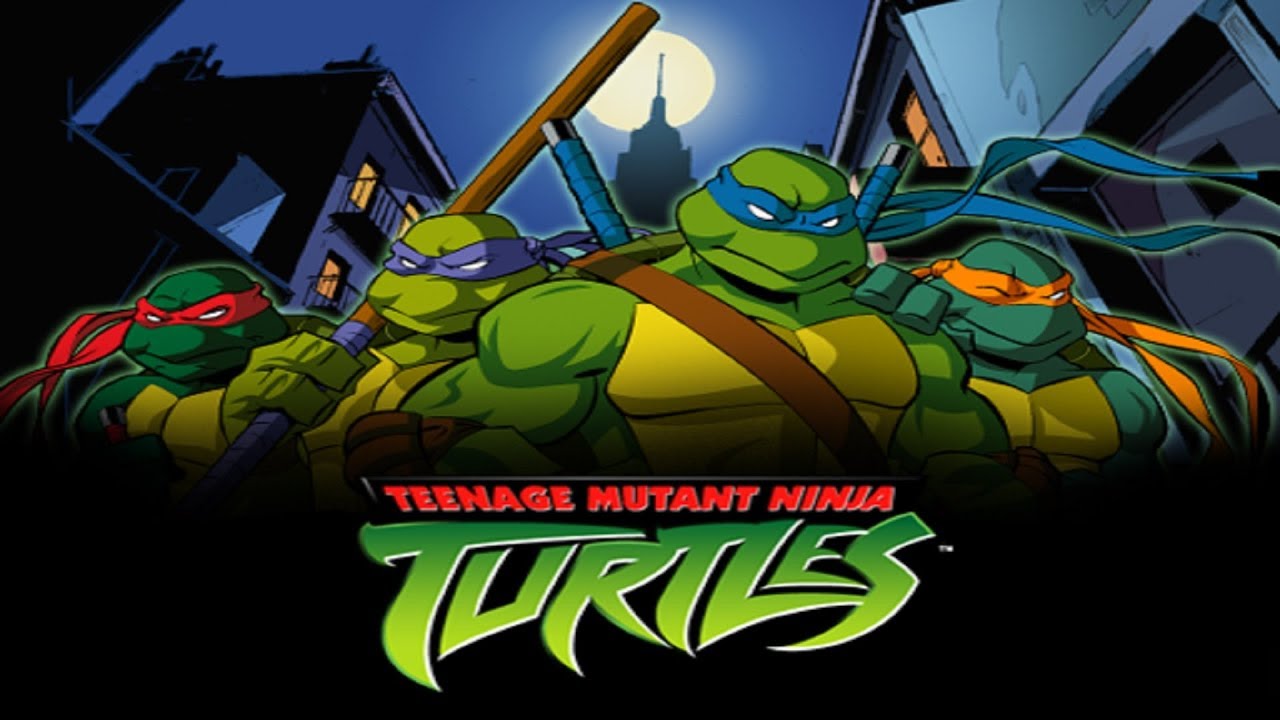 ninja turtle videos to watch